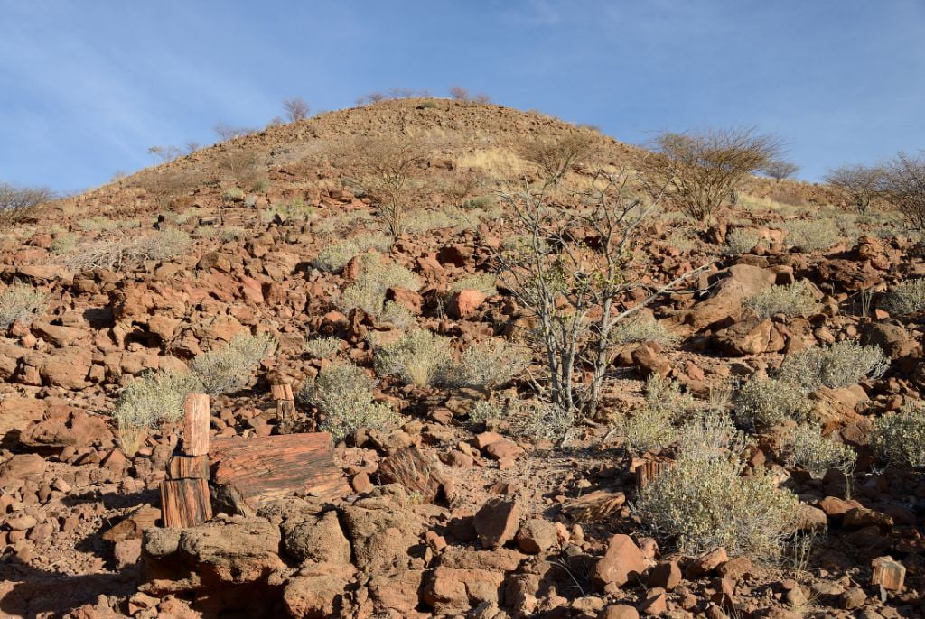 Circuit Namibie 10, 14 ou 21 jours : quel format choisir ?