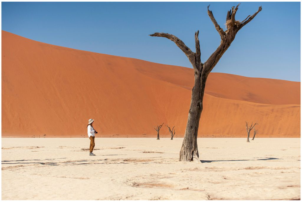 Sossusvlei et Deadvlei : que voir et comment s’y prendre — illustration du guide voyage Namibie
