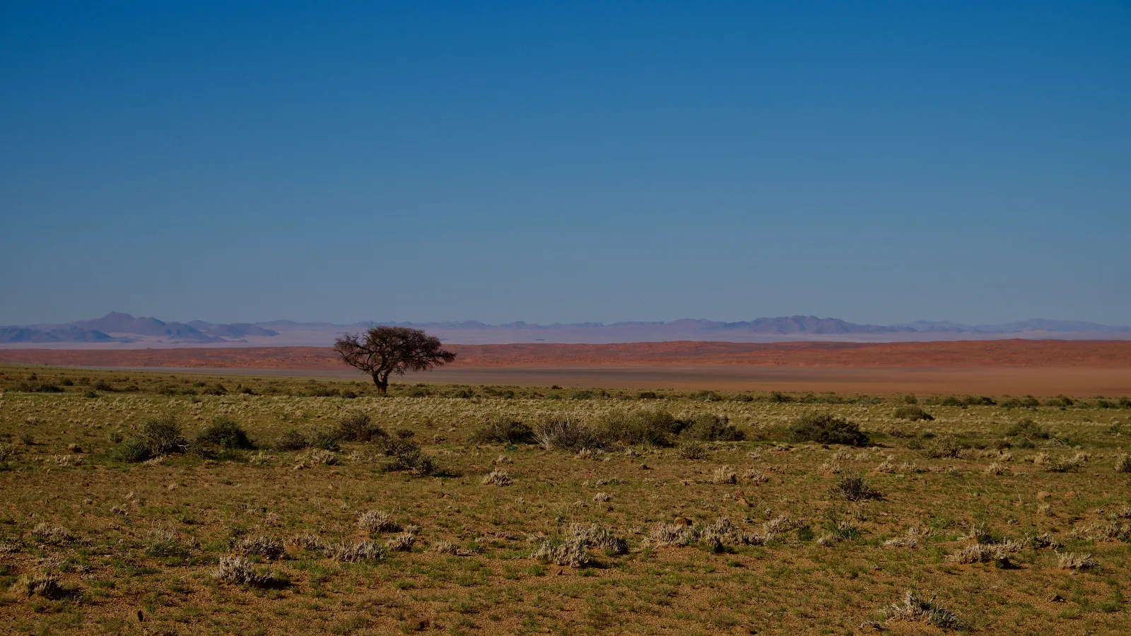 Paysage du Damaraland, Namibie