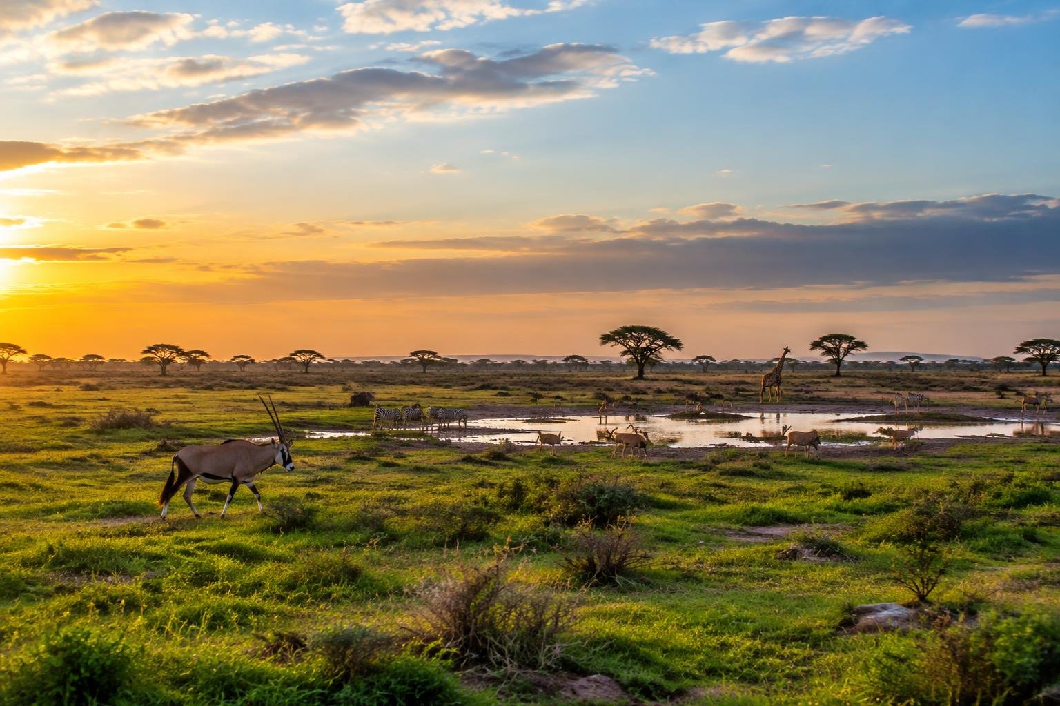 Partir en Namibie en avril