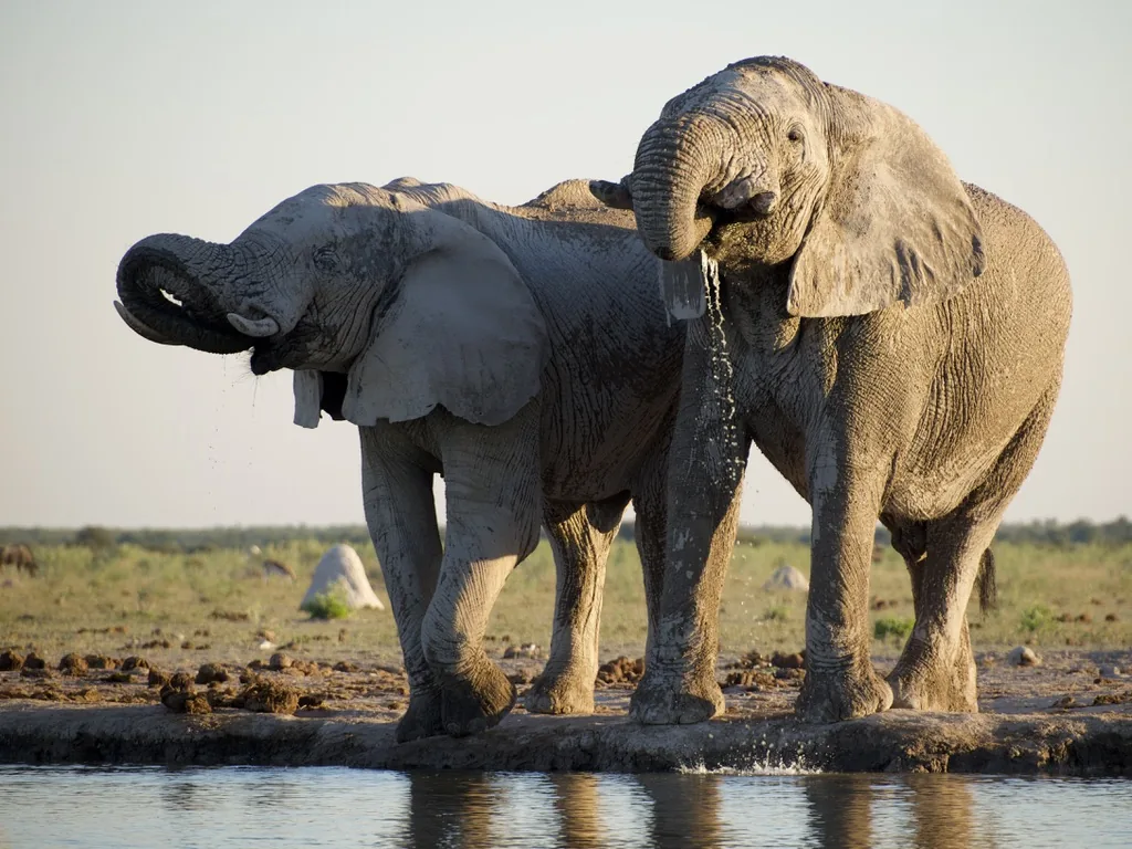Jour 9 — Roadtrip en Namibie du Kalahari à Etosha, tout en lodge