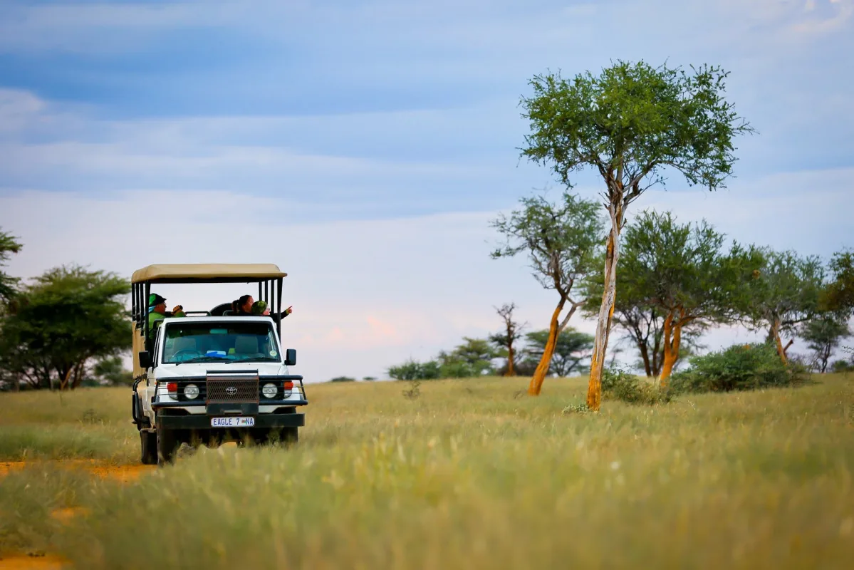 Jour 12 — Roadtrip en Namibie du Kalahari à Etosha, tout en lodge