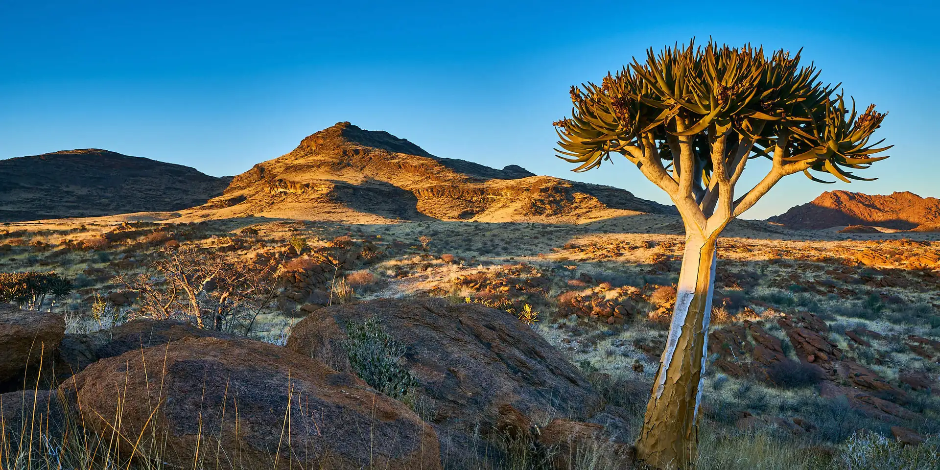 Jour 5 — De Sesriem à Namib Naukluft - 170 Kms 3h00