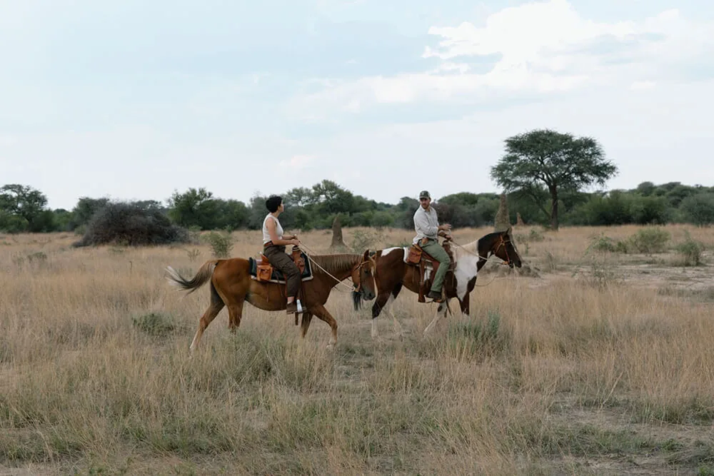 Jour 13 — Roadtrip en Namibie du Kalahari à Etosha, tout en lodge