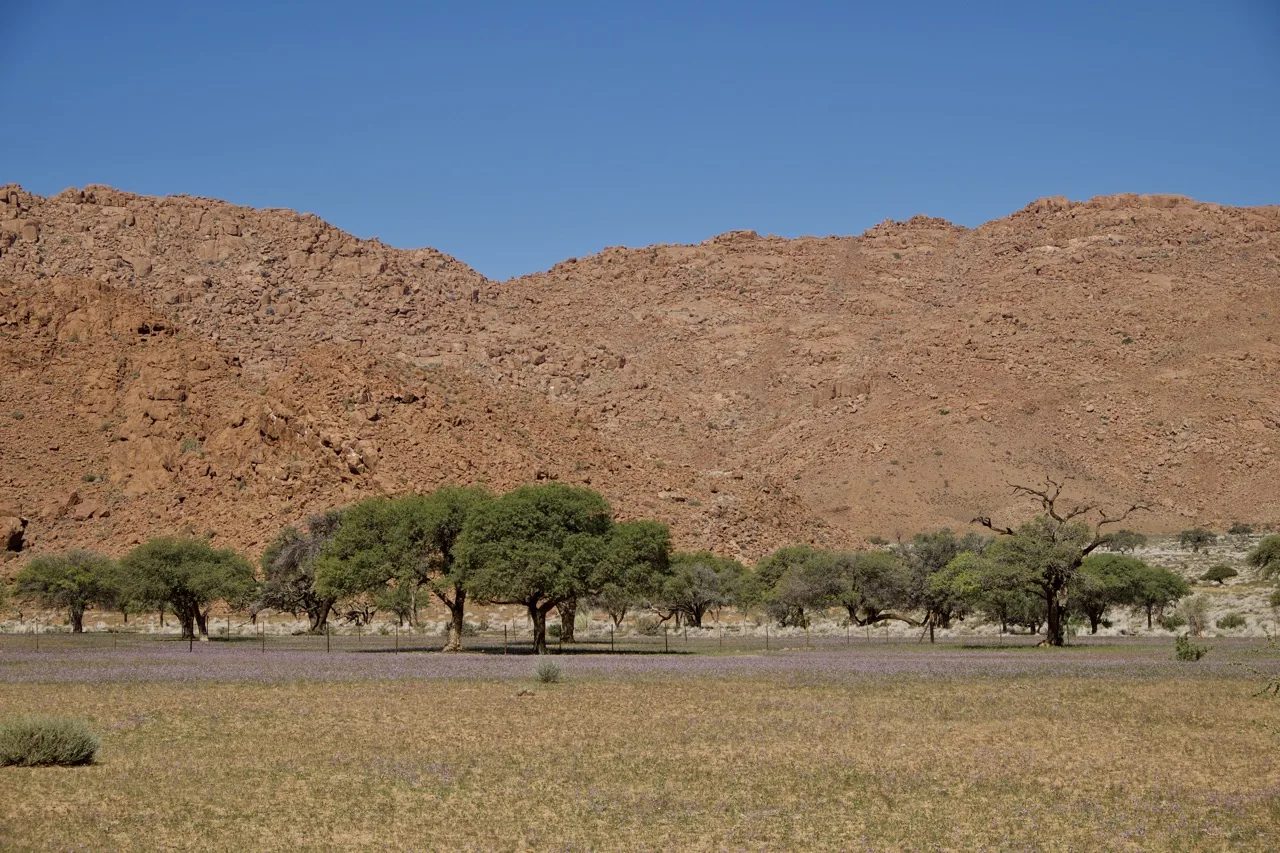 Jour 5 — Namibie grand format     du Fish River Canyon jusqu'à Etosha      lodge et camping