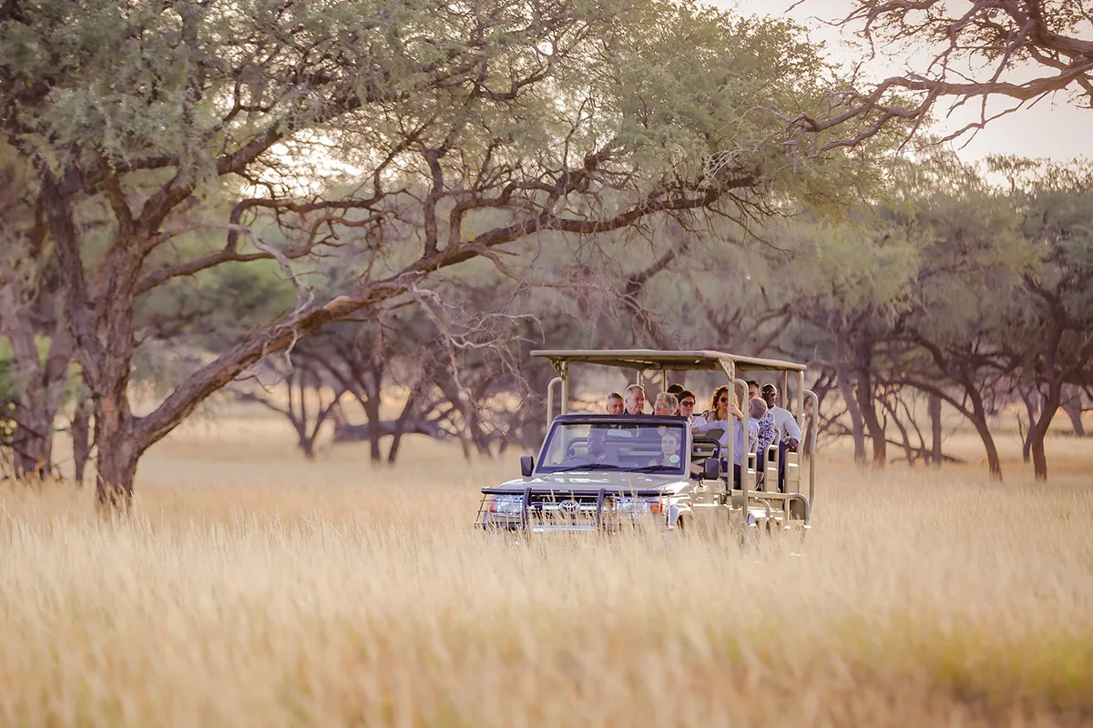 Jour 16 — Namibie grand format     du Fish River Canyon jusqu'à Etosha      lodge et camping