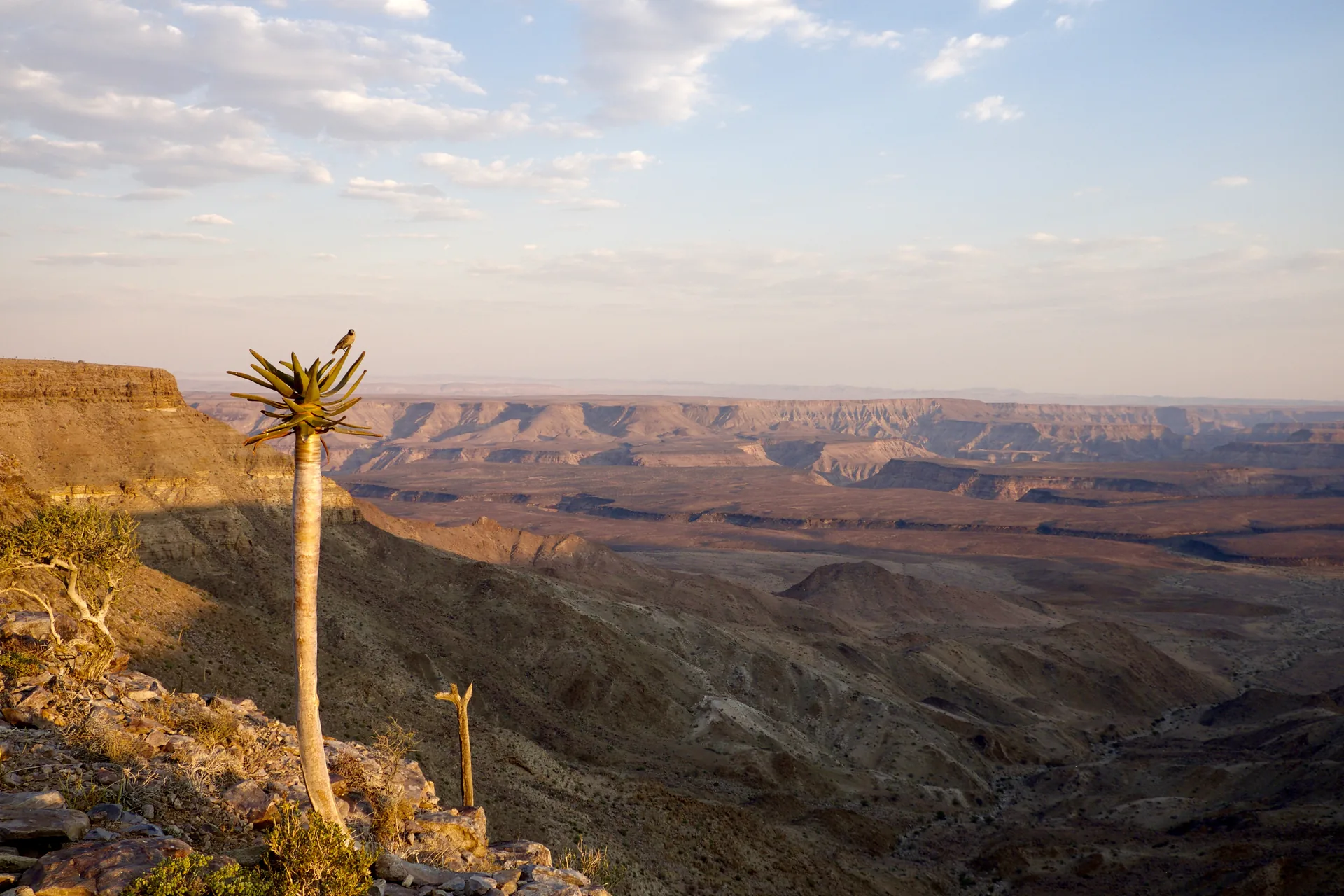 Jour 3 — Namibie grand format     du Fish River Canyon jusqu'à Etosha      lodge et camping