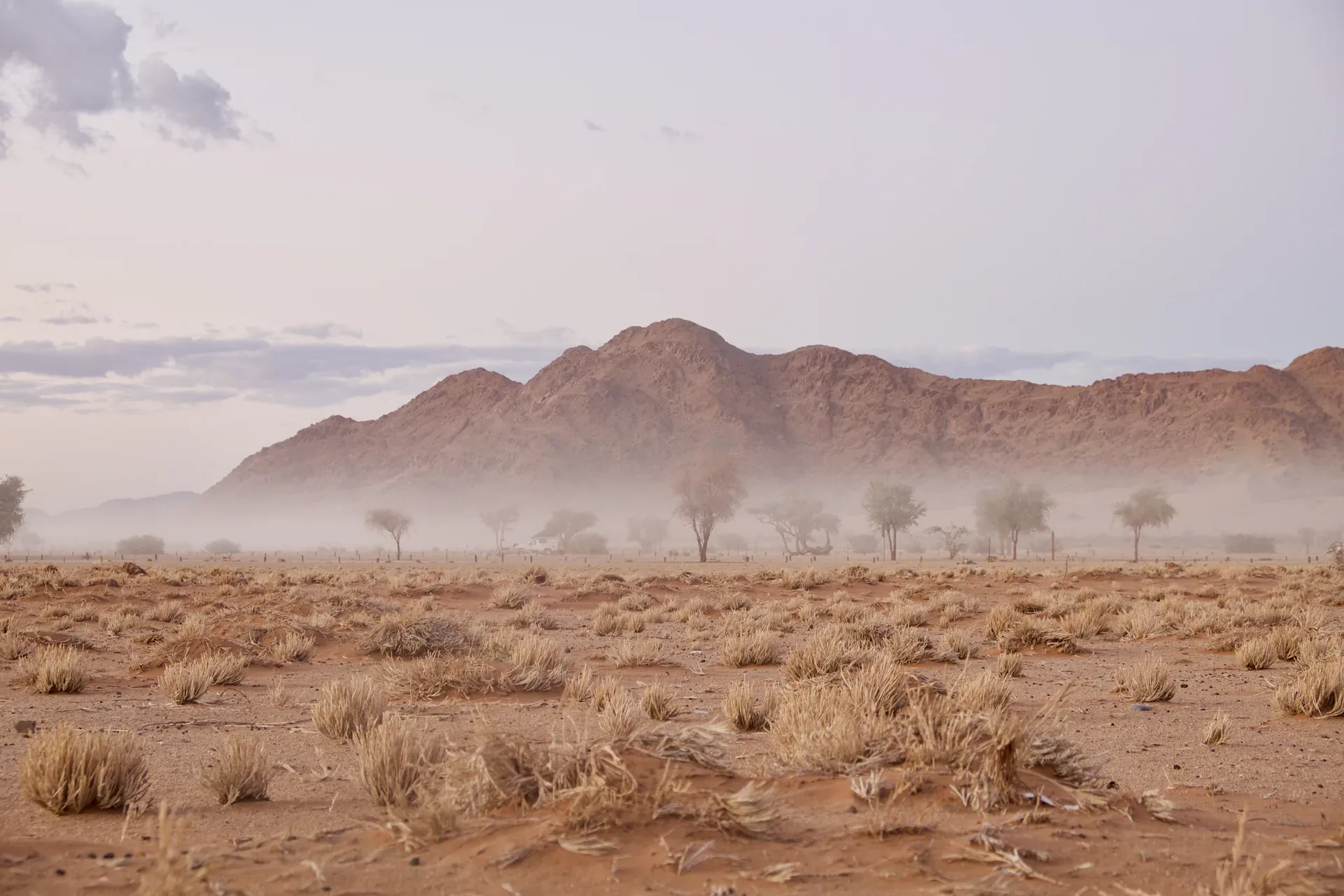 Jour 8 — Namibie grand format     du Fish River Canyon jusqu'à Etosha      lodge et camping