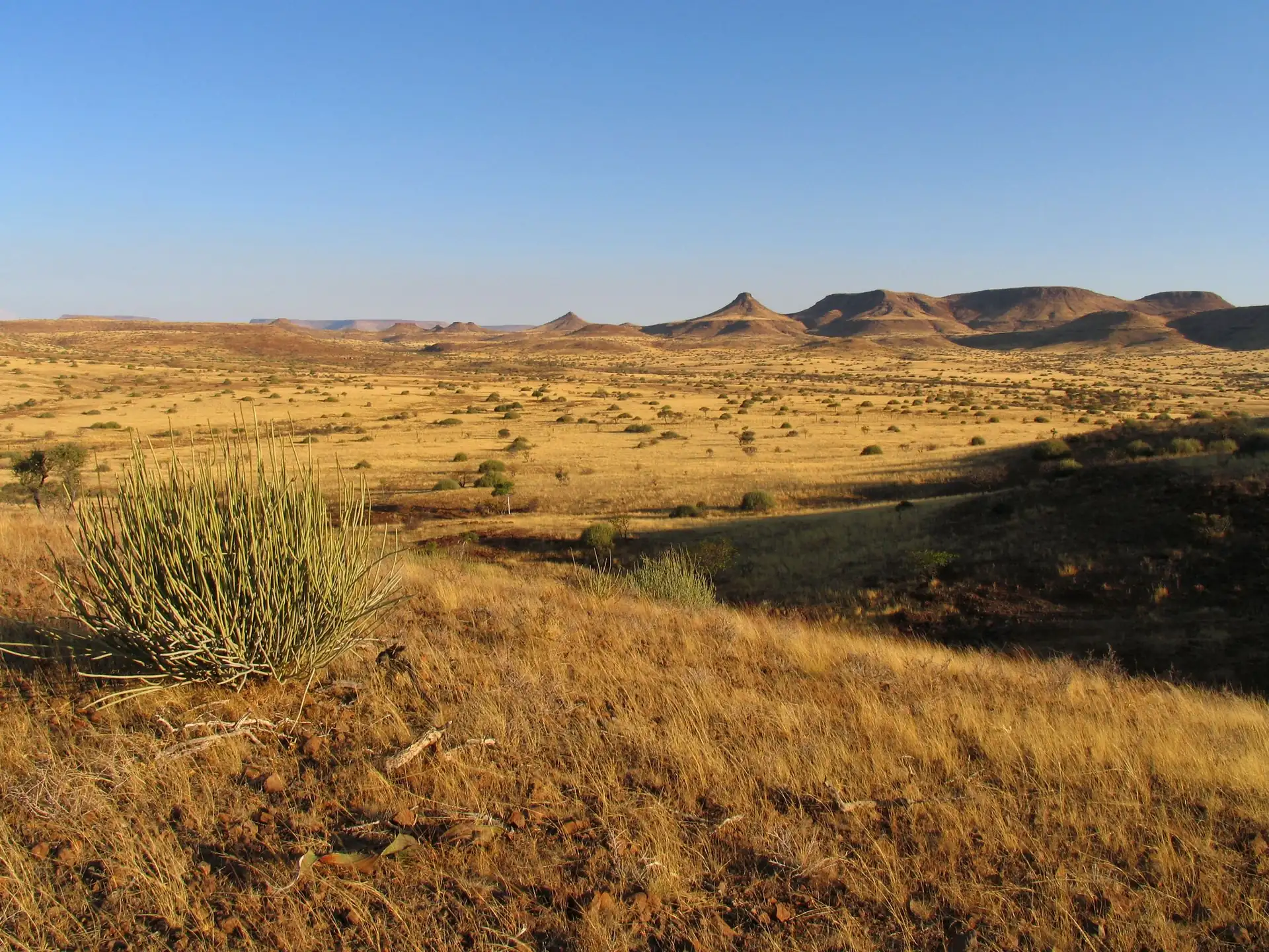 Jour 11 — Namibie grand format     du Fish River Canyon jusqu'à Etosha      lodge et camping