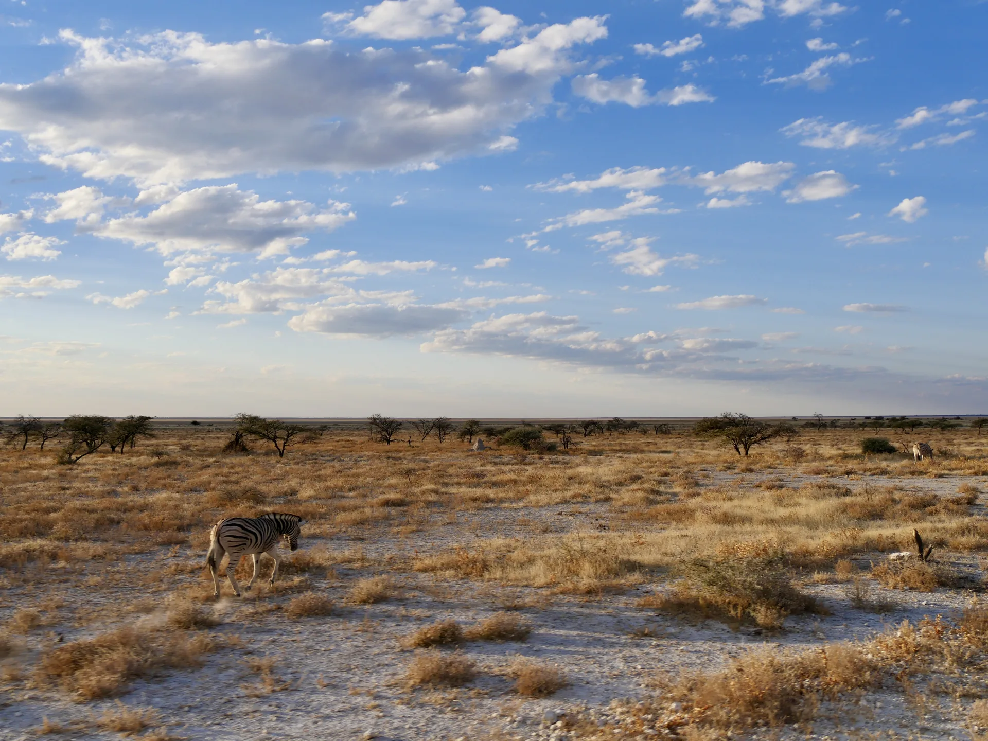 Jour 12 — Namibie grand format     du Fish River Canyon jusqu'à Etosha      lodge et camping