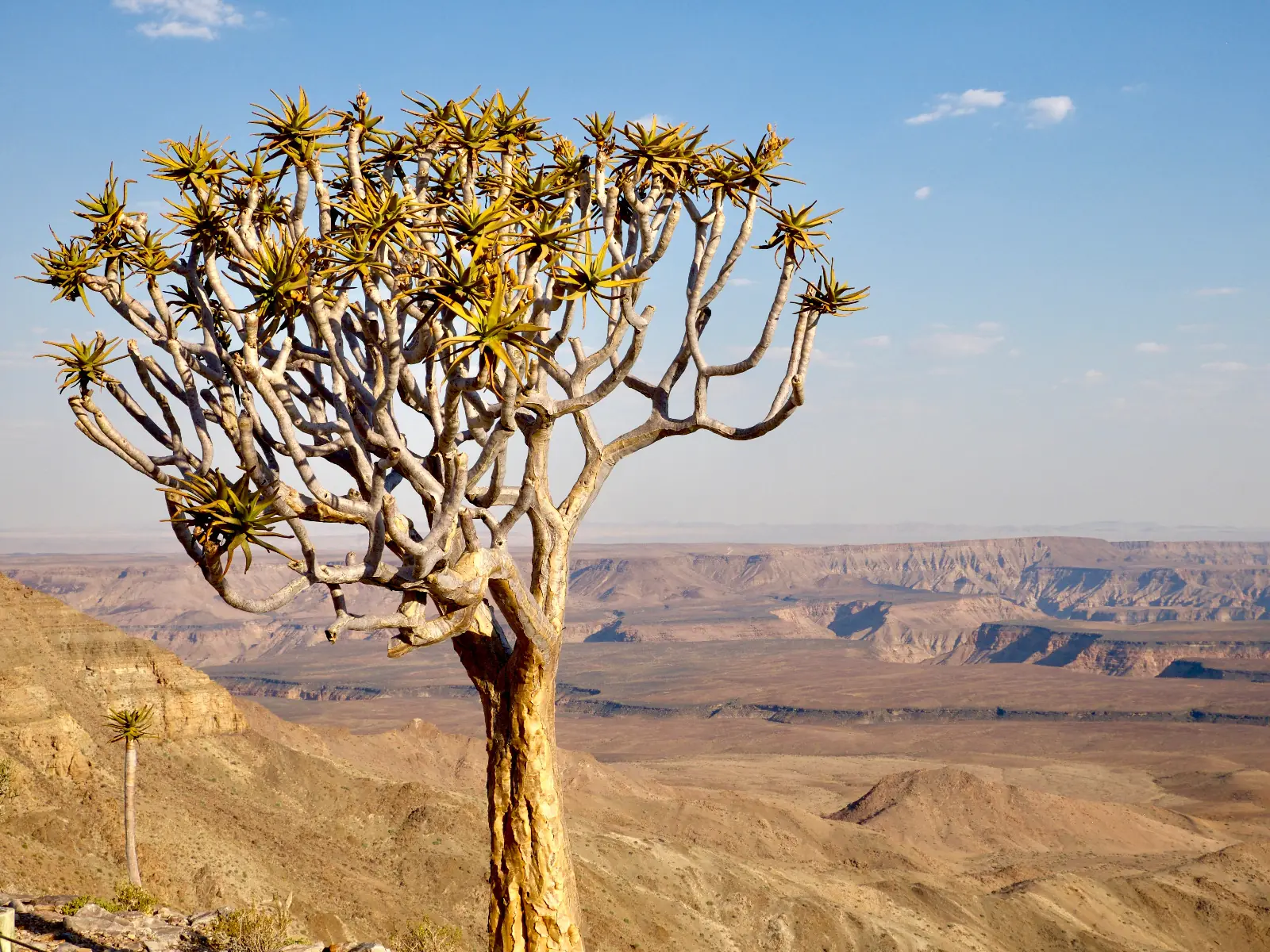 Namibie grand format     du Fish River Canyon jusqu'à Etosha      lodge et camping — aperçu du circuit