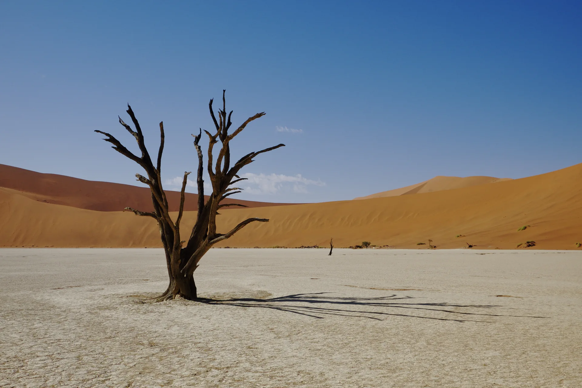 Jour 3 — Roadtrip de la Namibie aux Chutes Victoria en lodge et Camping