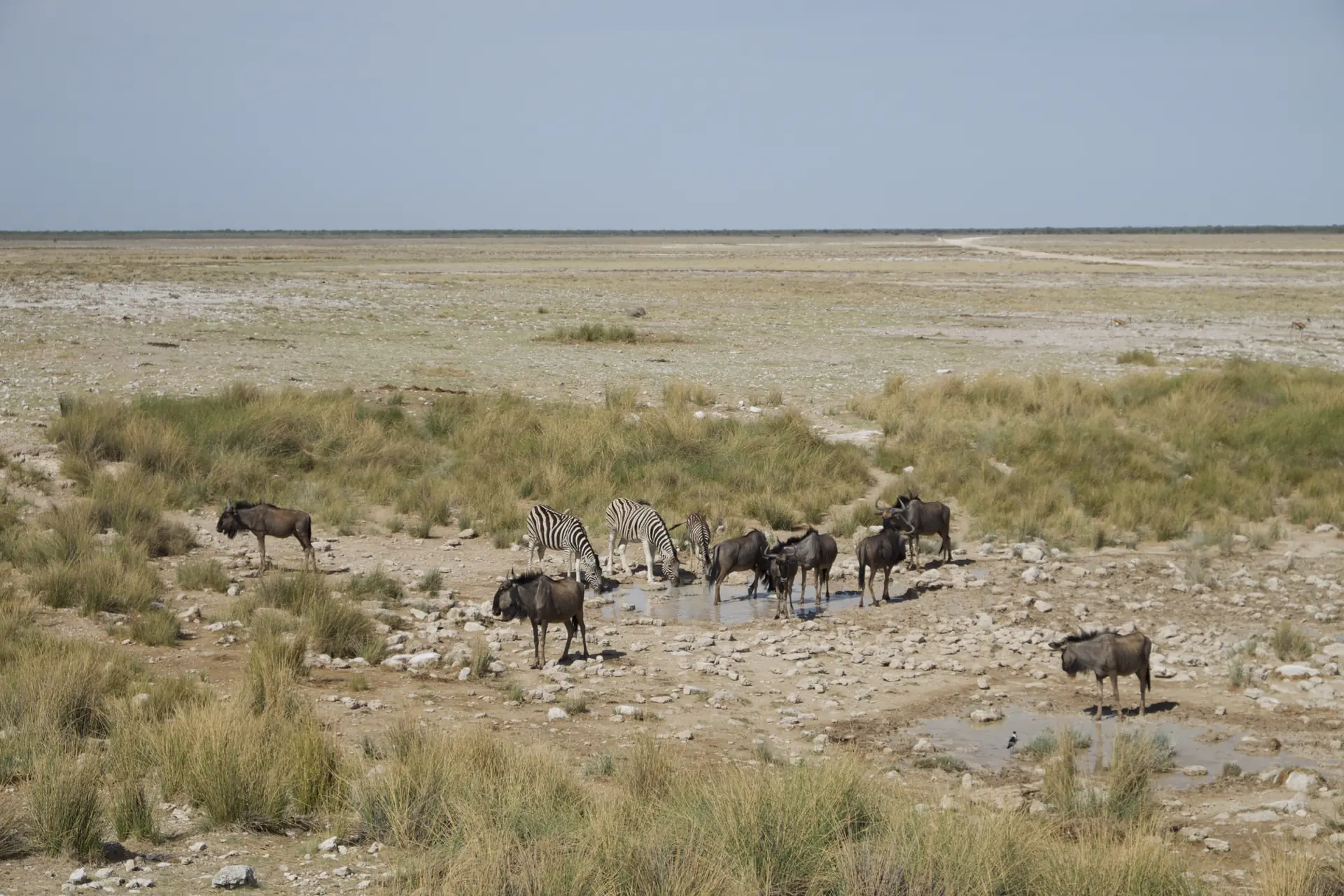 Jour 9 — Roadtrip de la Namibie aux Chutes Victoria en lodge et Camping