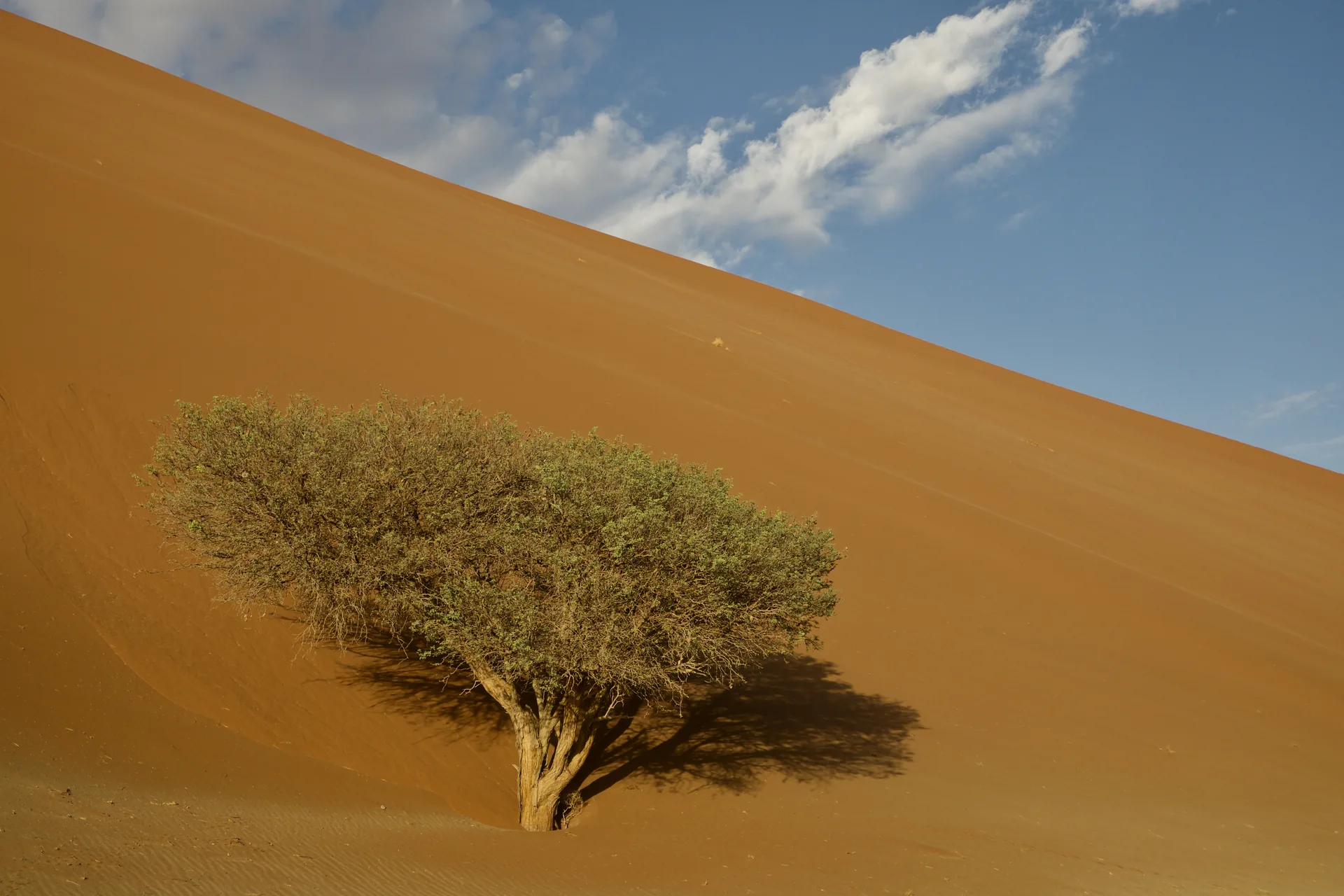 Jour 3 — Roadtrip de la Namibie aux Chutes Victoria en lodge et Camping