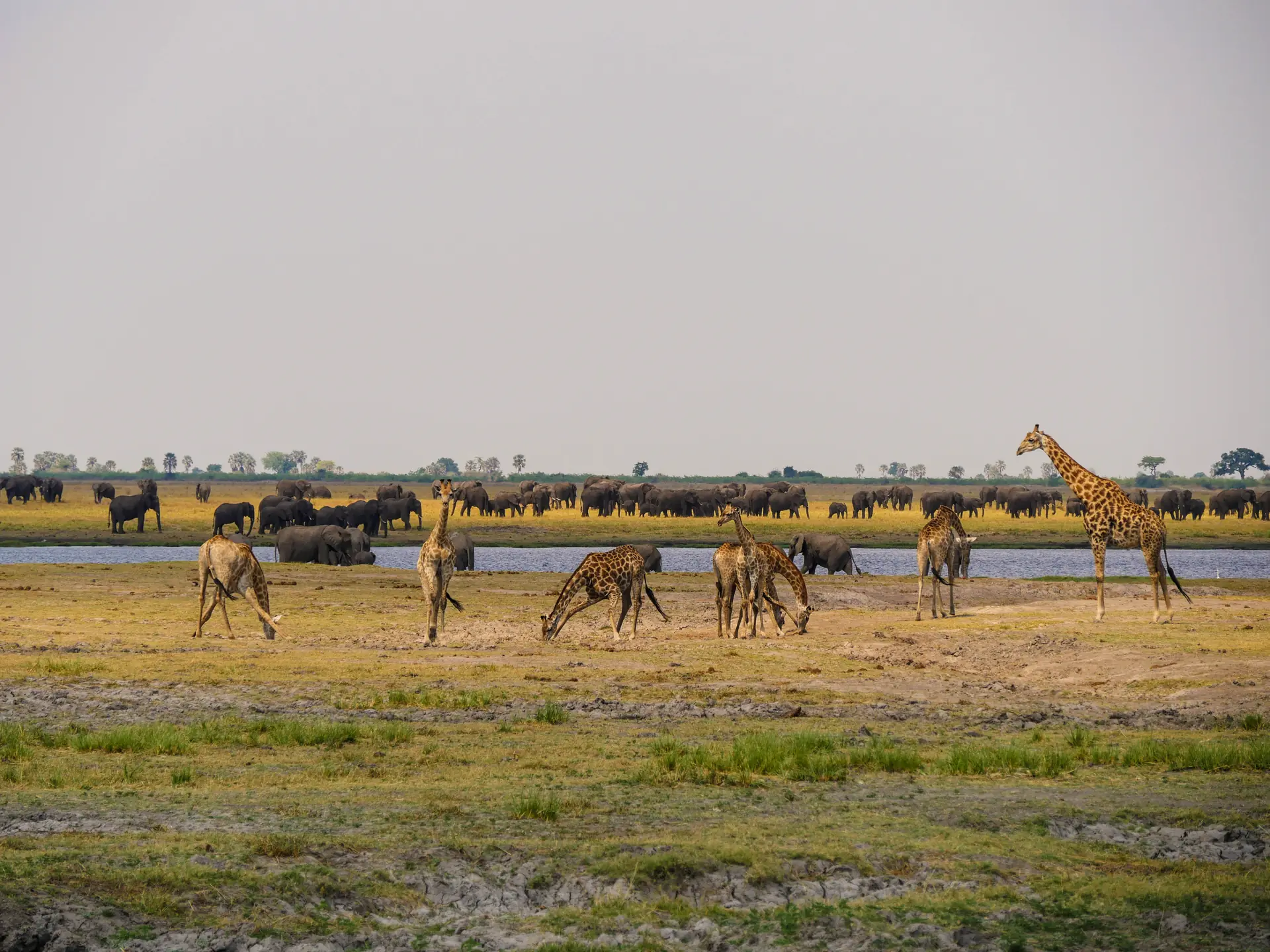 Jour 12 — Roadtrip de la Namibie aux Chutes Victoria en lodge et Camping