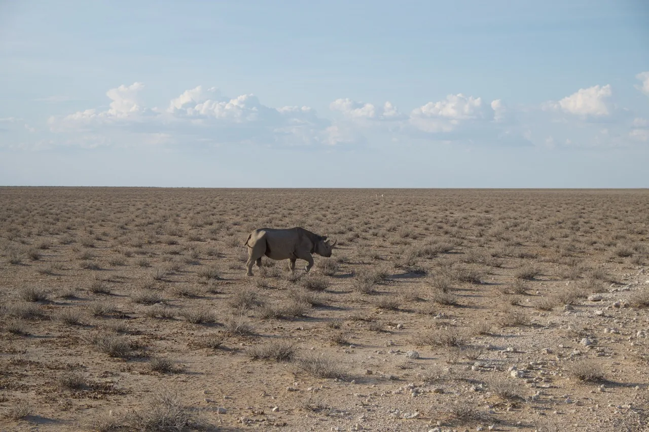 Jour 10 — De la Namibie aux Chutes Victoria tout en lodges