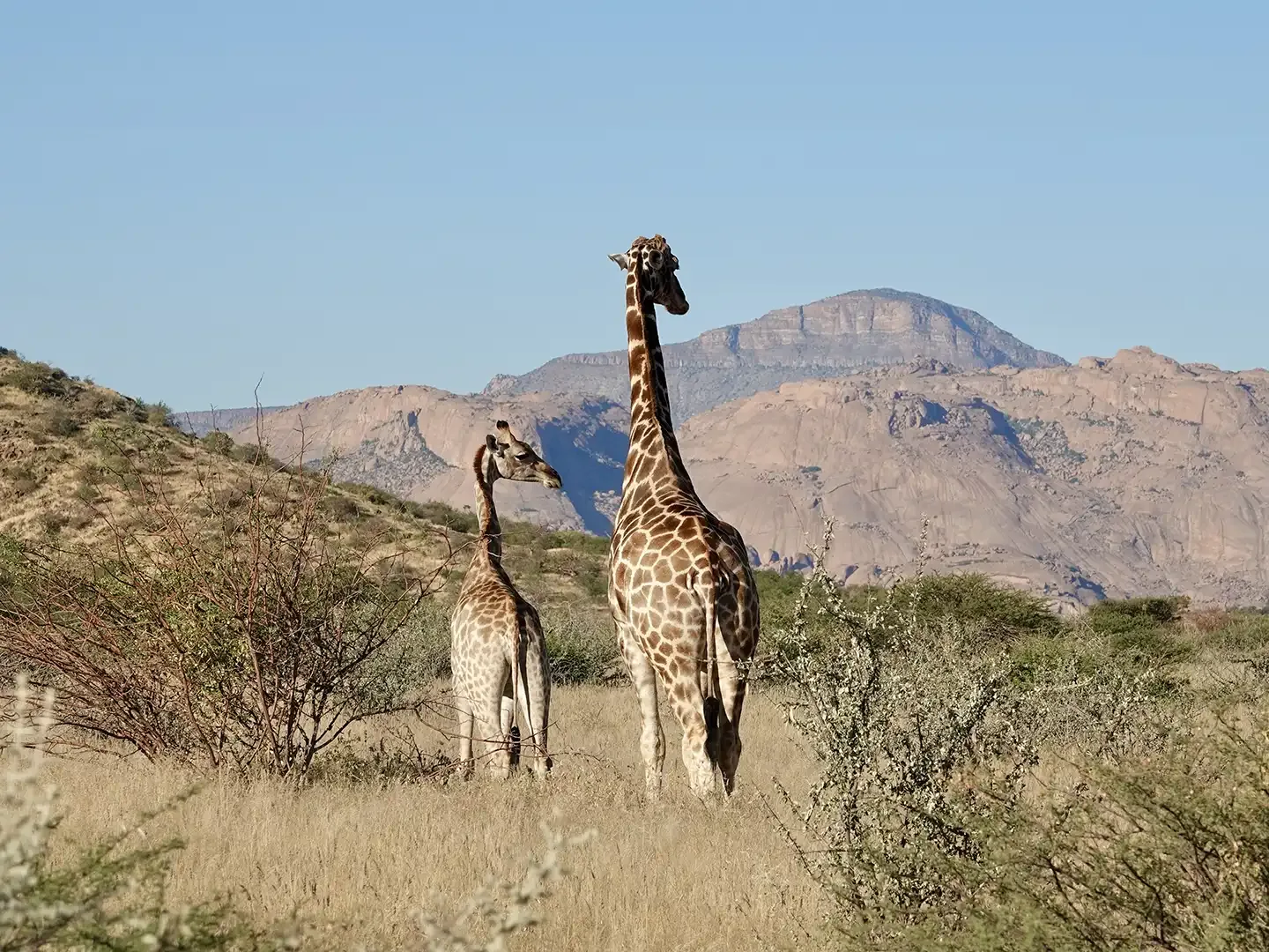 Jour 6 — De la Namibie aux Chutes Victoria tout en lodges