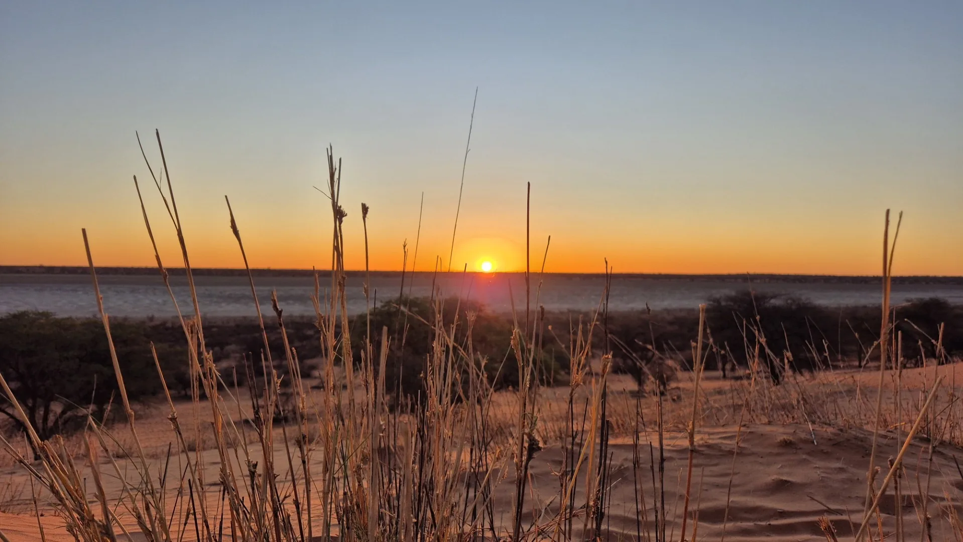 Jour 10 — Les essentiels de la Namibie  11 jours guidé francophone