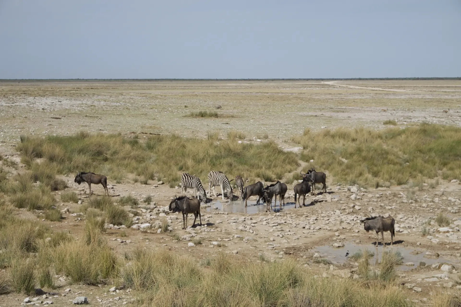 Jour 2 — Les essentiels de la Namibie  11 jours guidé francophone