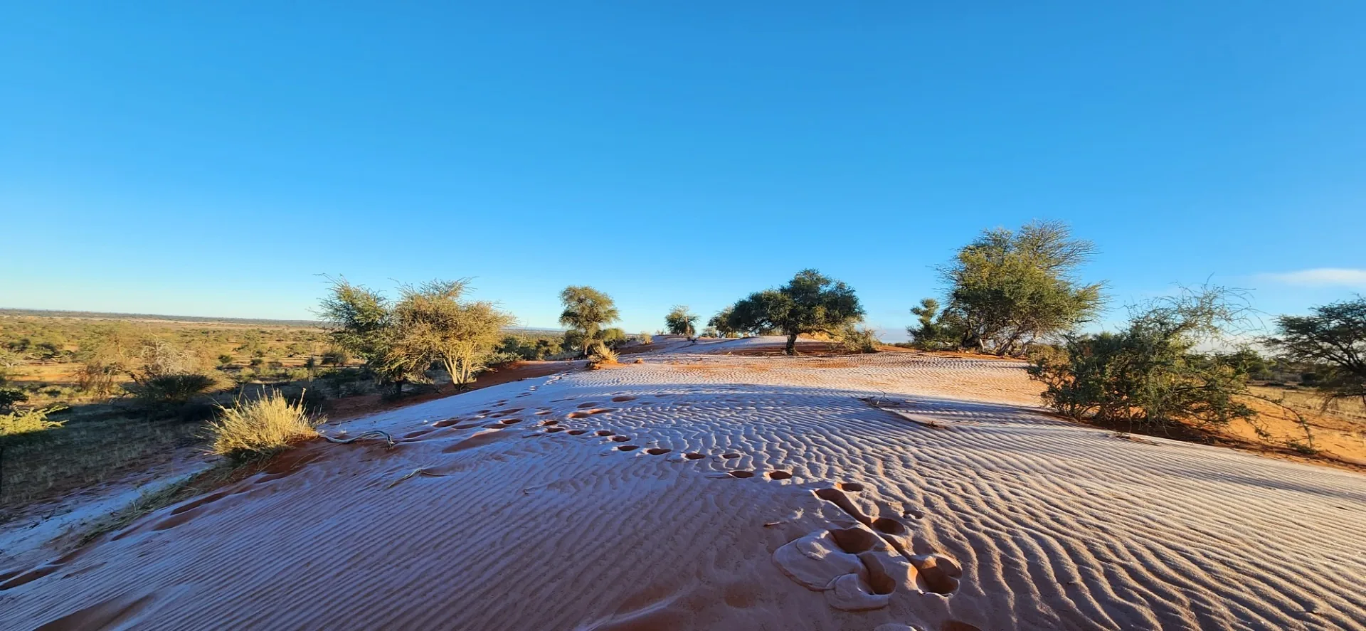 Jour 10 — Retour à Windhoek - 250 Kms 3h00