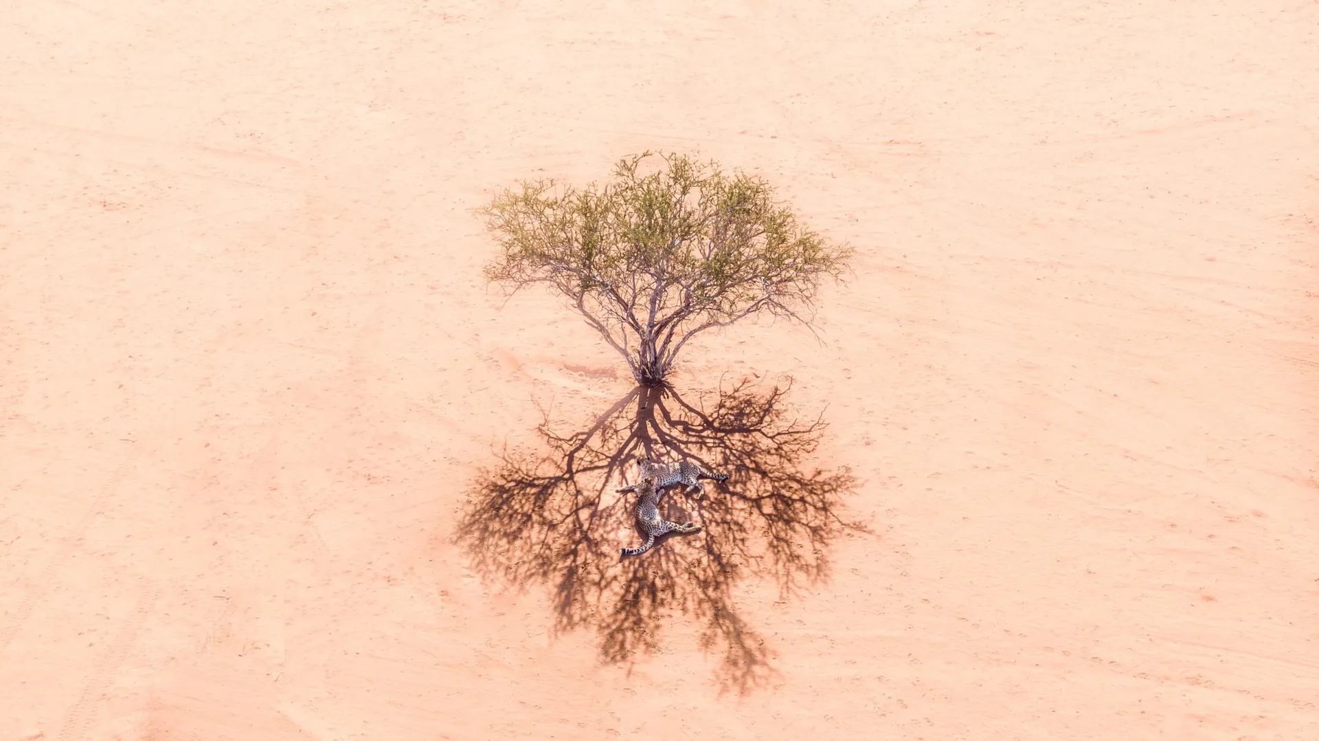 Jour 11 — Les essentiels de la Namibie  11 jours guidé francophone