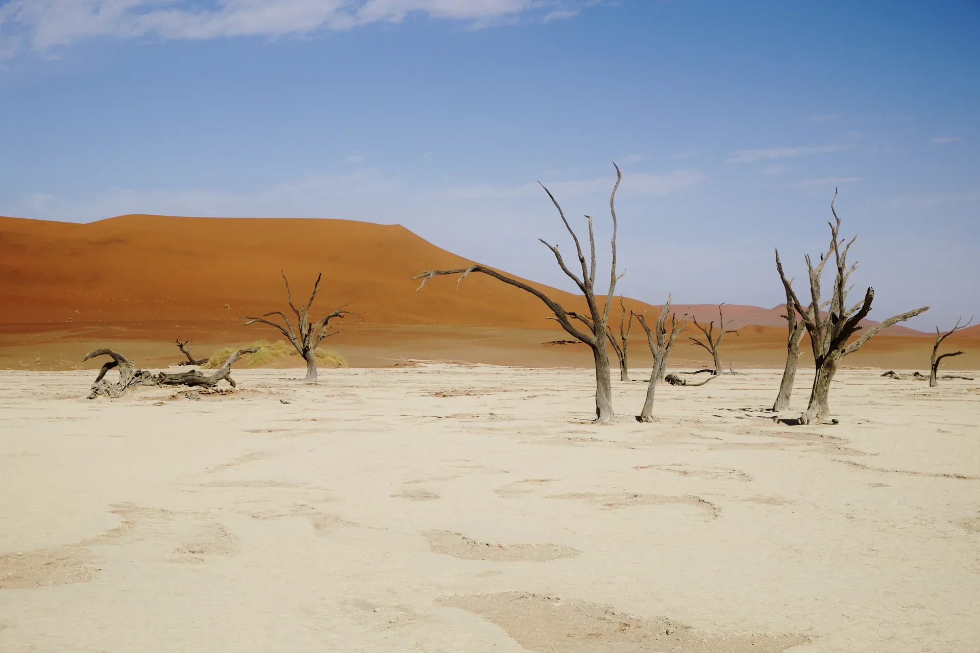 Jour 8 — Les essentiels de la Namibie  11 jours guidé francophone