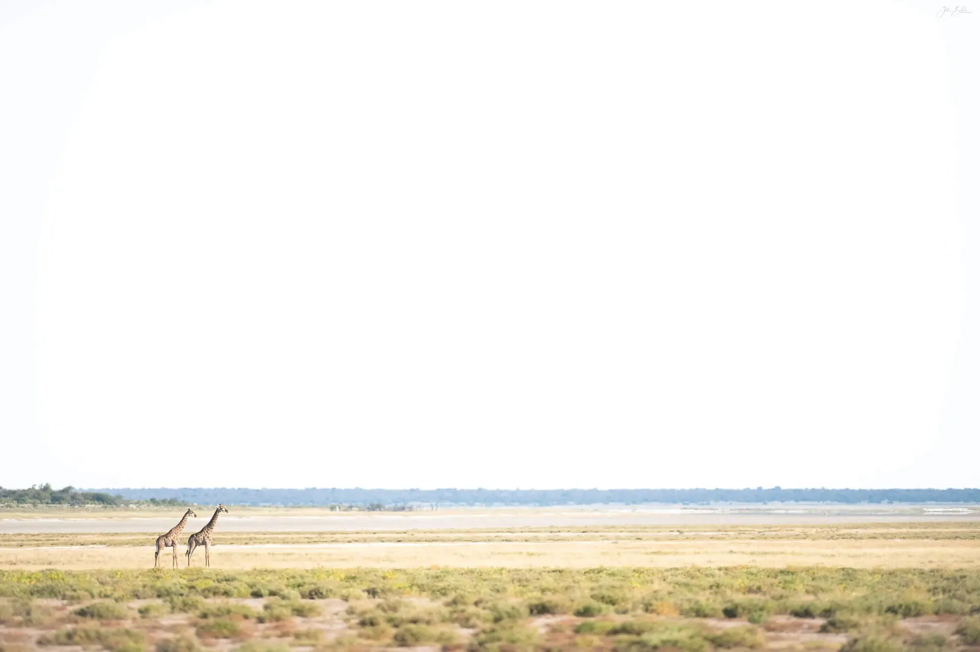 Jour 4 — Les essentiels de la Namibie  11 jours guidé francophone