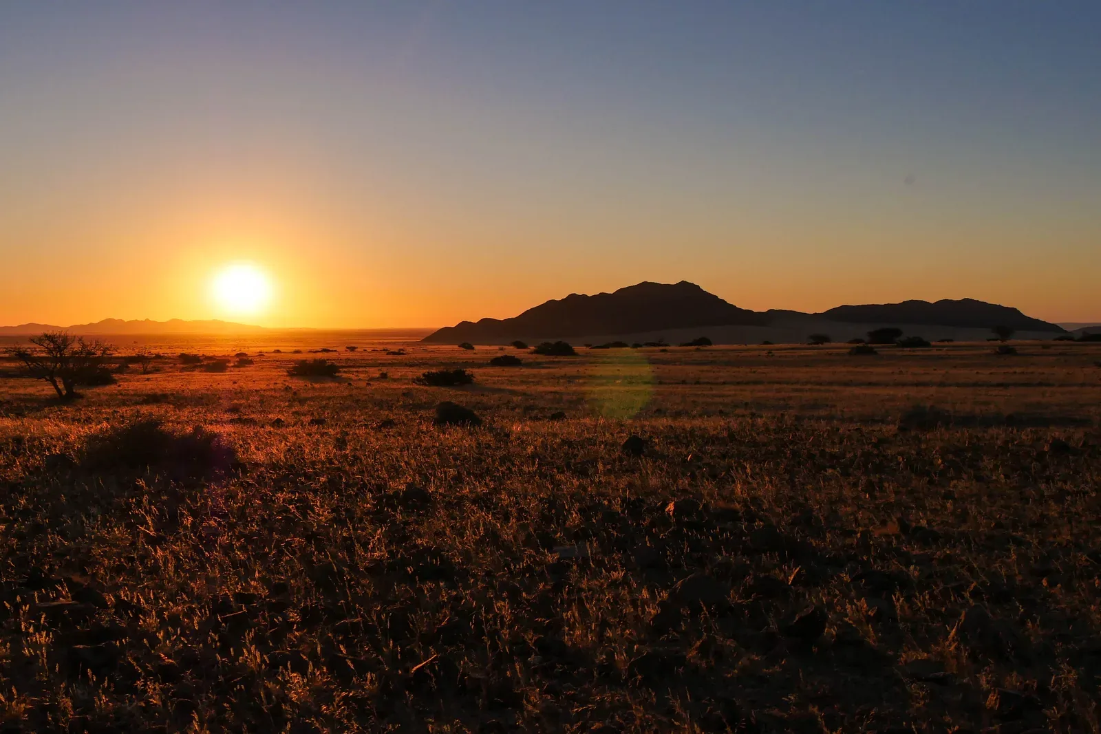 Jour 7 — Les essentiels de la Namibie  11 jours guidé francophone