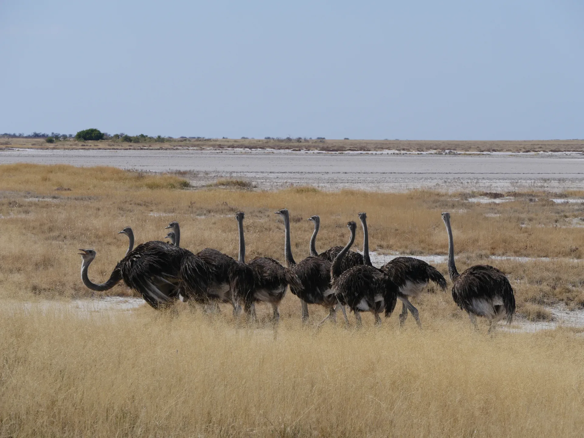 Jour 3 — Les essentiels de la Namibie  11 jours guidé francophone