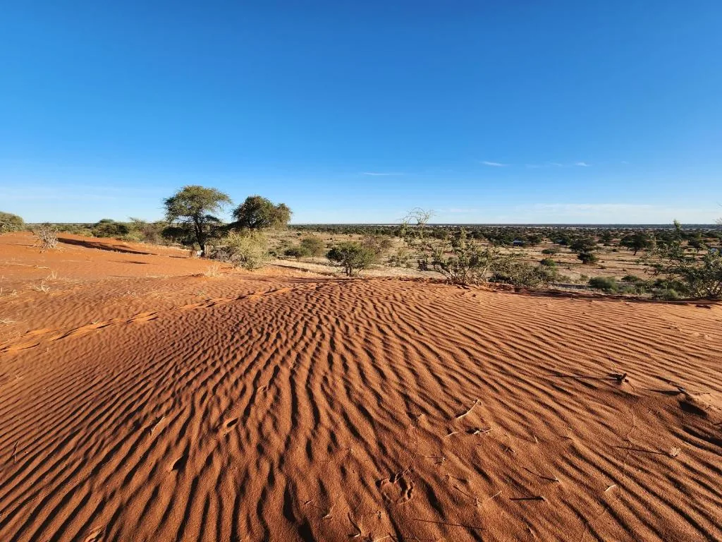 Jour 9 — Les essentiels de la Namibie  11 jours guidé francophone
