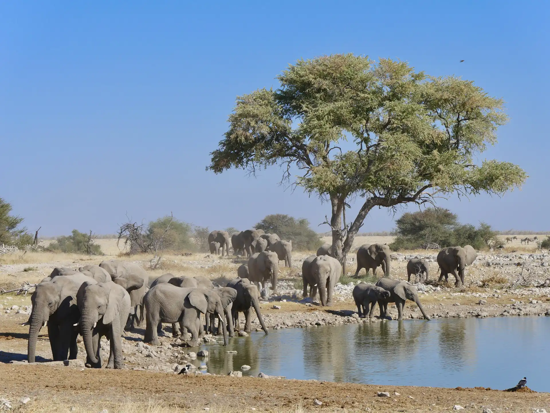 Jour 3 — Les essentiels de la Namibie  11 jours guidé francophone
