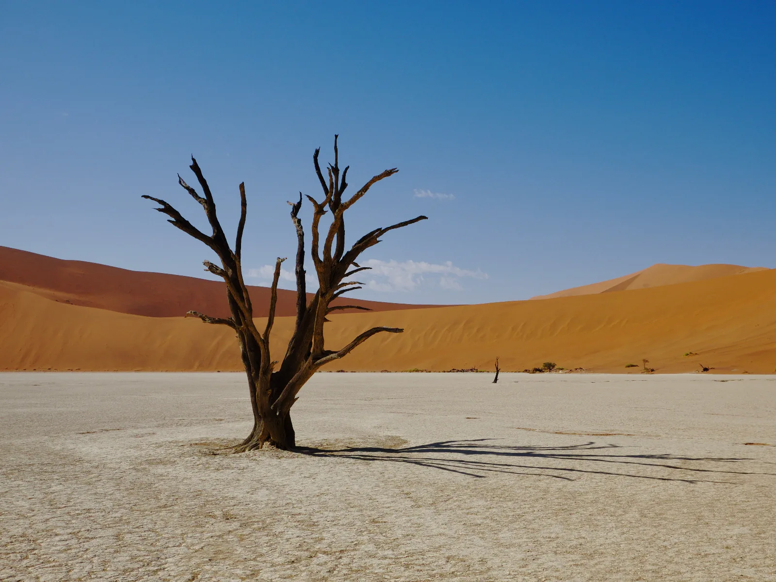 Les essentiels de la Namibie  11 jours guidé francophone — aperçu du circuit
