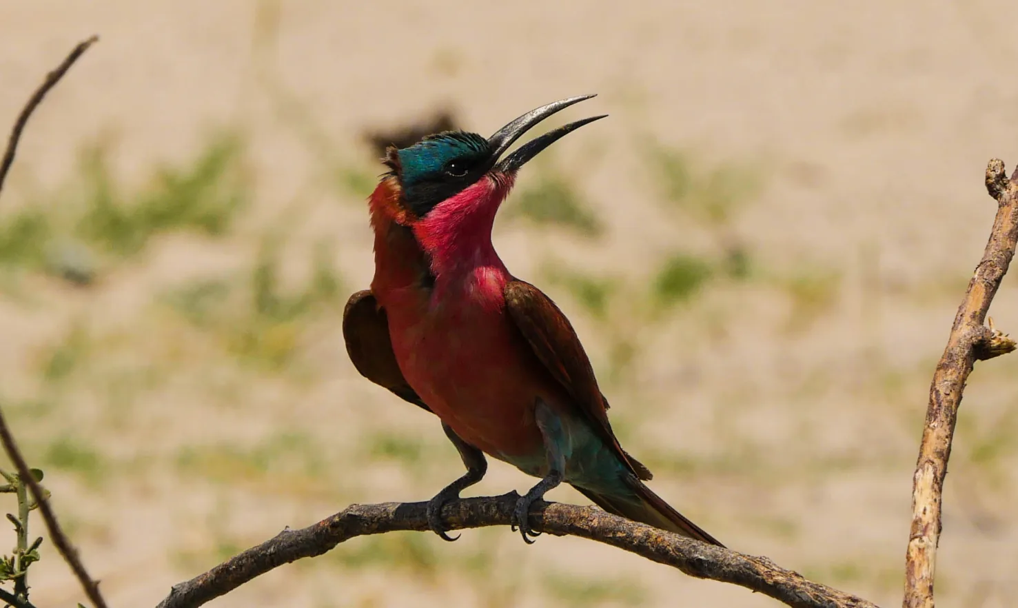 Jour 11 — De la Namibie aux chutes Victoria 13 jours guidé francophone