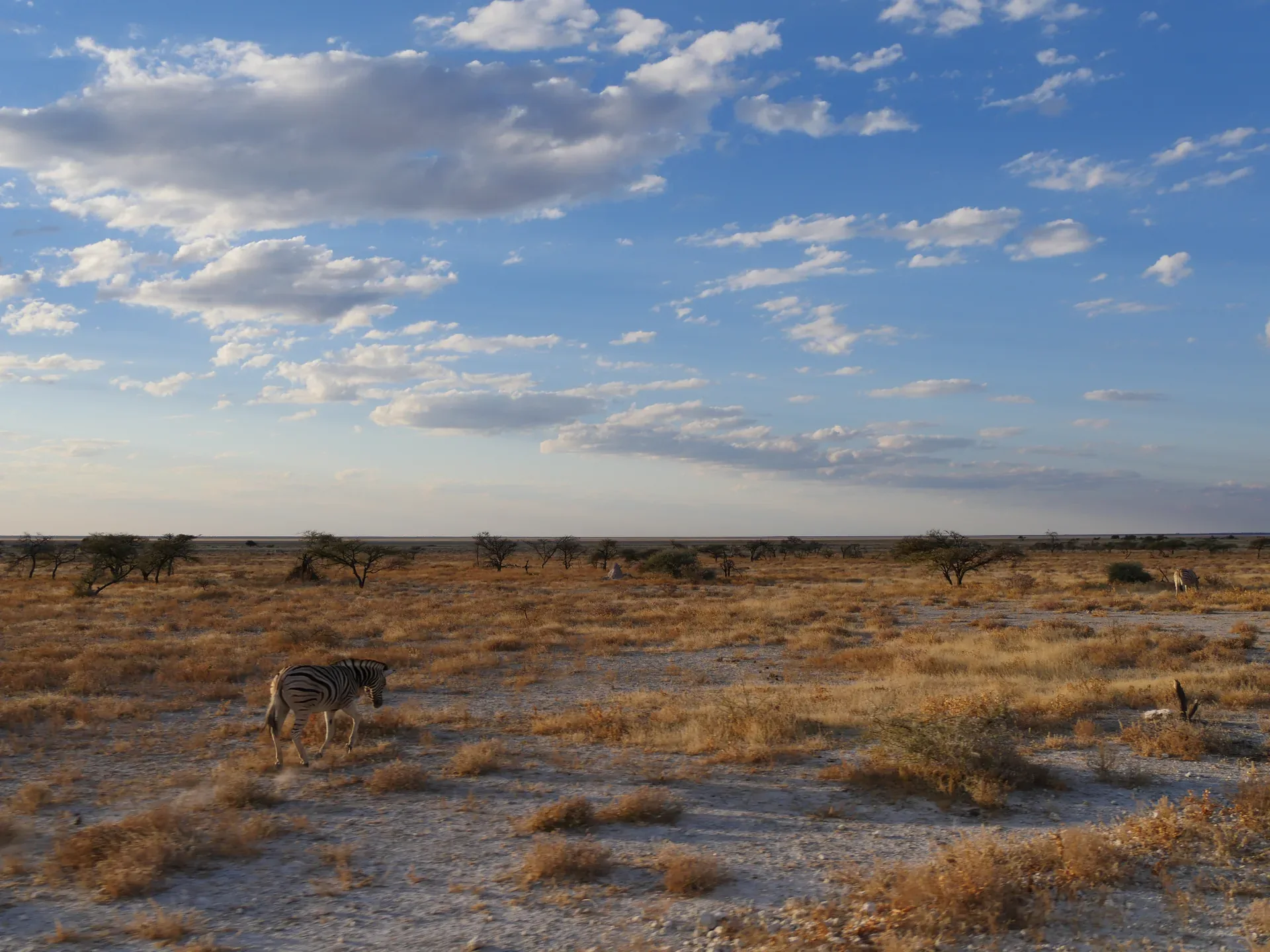 Jour 7 — De la Namibie aux chutes Victoria 13 jours guidé francophone